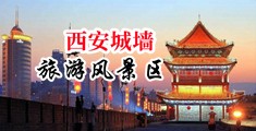 www内射com中国陕西-西安城墙旅游风景区